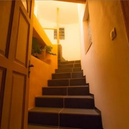 Apartment Les Mimosas Argelès-sur-Mer