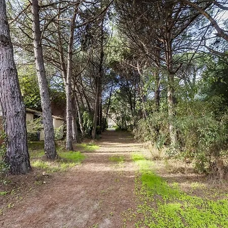 Les Mimosas Apartment Argelès-sur-Mer