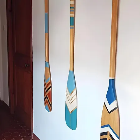 Les Mimosas Lecques