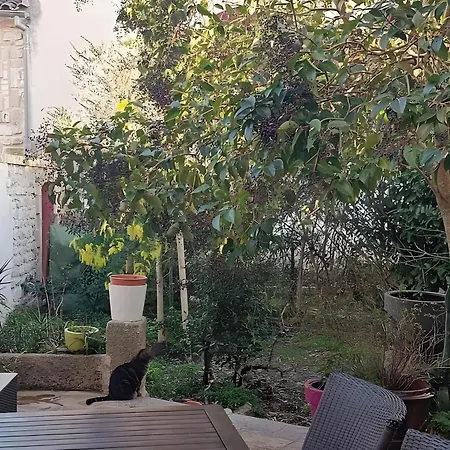 度假居 Les Mimosas Lecques
